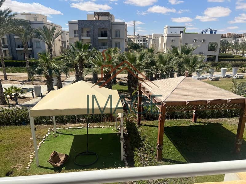 9 52453. jpg