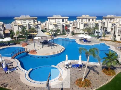 شاليه 1 غرفة نوم للبيع في الساحل الشمالي، مطروح - WhatsApp Image 2026-02-23 at 11.50. 34 AM. jpeg