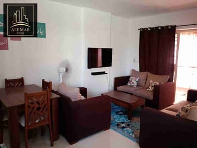 1 Bedroom Flat for Rent in Madinaty, Cairo - 1000164635. jpg 1 Bedroom Flat for Rent in Madinaty, Cairo - 1000164635. jpg