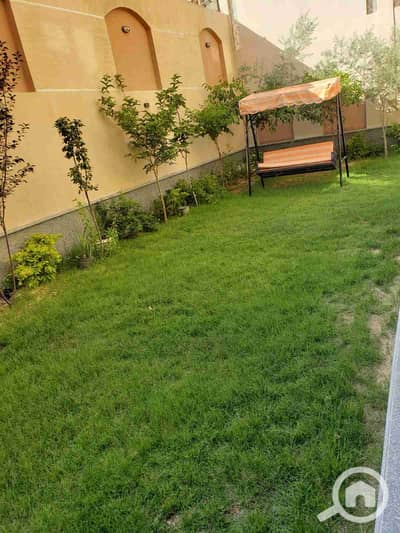 2 Bedroom Flat for Rent in New Cairo, Cairo - 1000172043. jpg 2 Bedroom Flat for Rent in New Cairo, Cairo - 1000172043. jpg