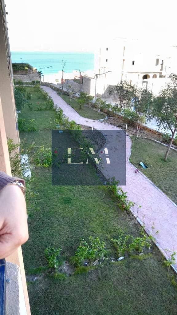 9 WhatsApp Image 2026-03-08 at 1.51. 32 AM (1). jpeg