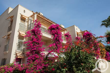 Studio for Sale in Sahl Hasheesh, Red Sea - @AAA-5012. jpg Studio for Sale in Sahl Hasheesh, Red Sea - @AAA-5012. jpg