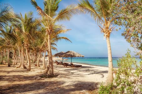 2 Bedroom Chalet for Sale in Gouna, Red Sea - image - 2026-03-10T145829.506. png