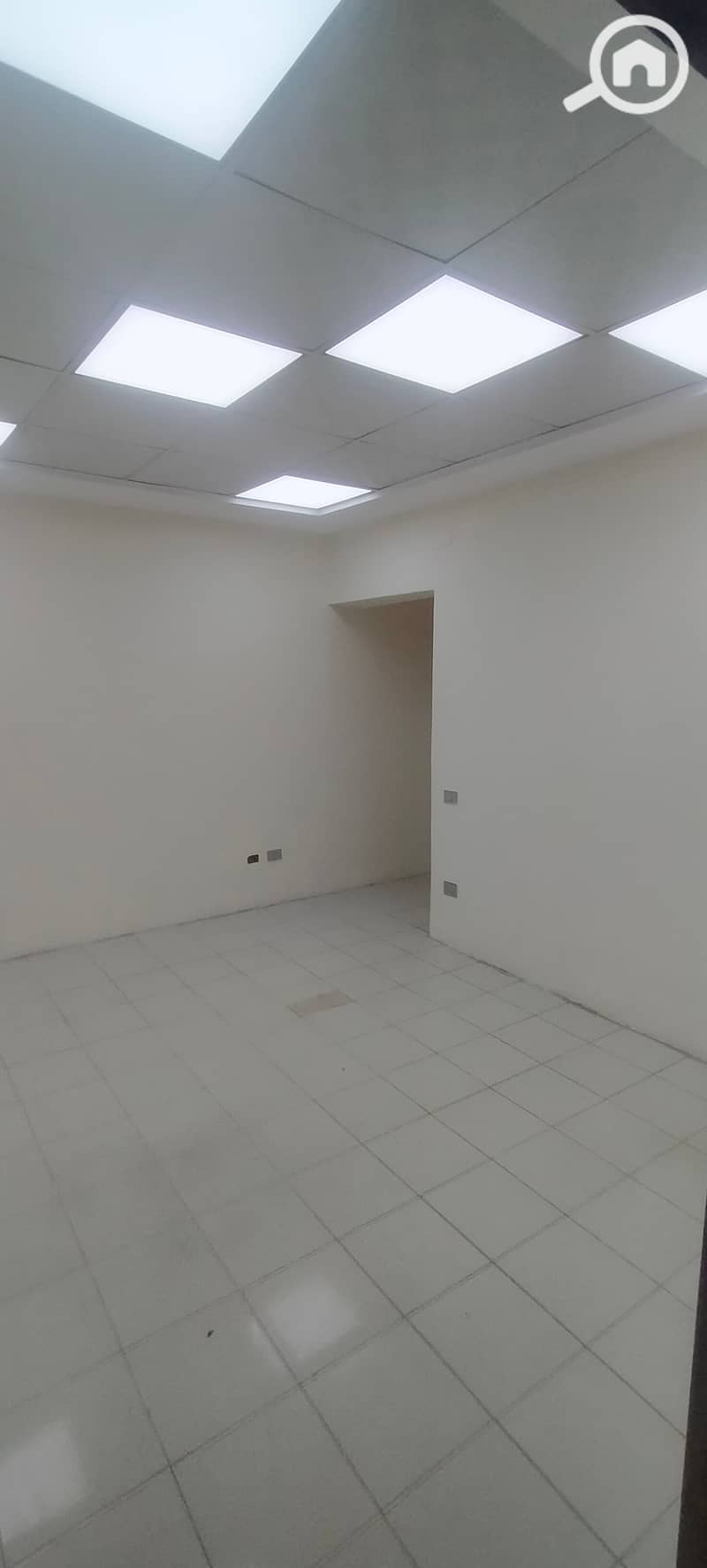 6 IMG20241021140449. jpg