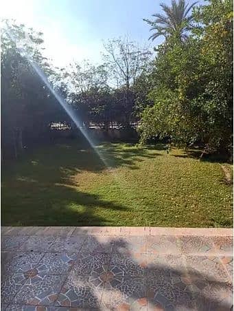 3 Bedroom Apartment for Sale in 10th of Ramadan, Sharqia - 5. jpg