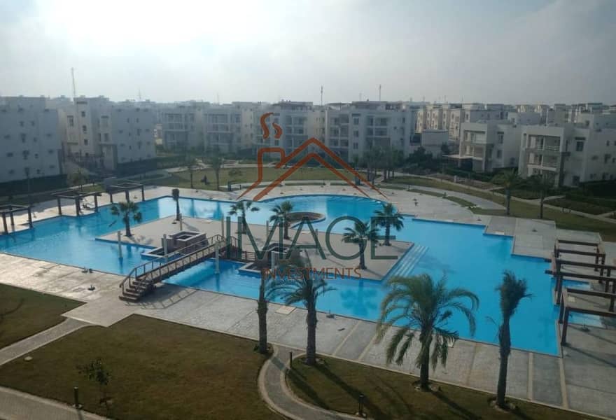 8 45119. jpg