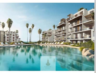 شاليه 1 غرفة نوم للبيع في الساحل الشمالي، مطروح - WhatsApp Image 2025-12-30 at 11.57. 46 AM. jpeg