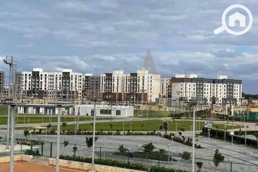 9 7. jpg