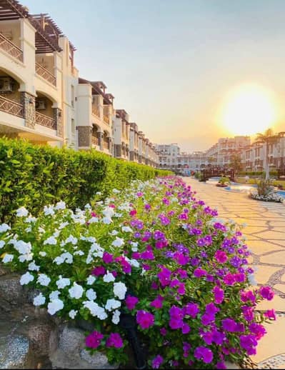 فیلا 3 غرف نوم للبيع في العين السخنة، السويس - WhatsApp Image 2026-03-13 at 4.23. 15 PM. jpeg فیلا 3 غرف نوم للبيع في العين السخنة، السويس - WhatsApp Image 2026-03-13 at 4.23. 15 PM. jpeg
