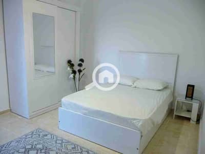 فلیٹ 2 غرفة نوم للايجار في المنيل، القاهرة - 254530. jpg