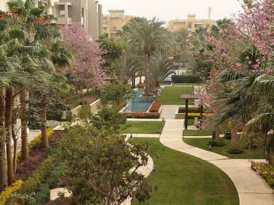 شقة 3 غرف نوم للبيع في القاهرة الجديدة، القاهرة - WhatsApp Image 2026-03-15 at 3.38. 02 PM. jpeg