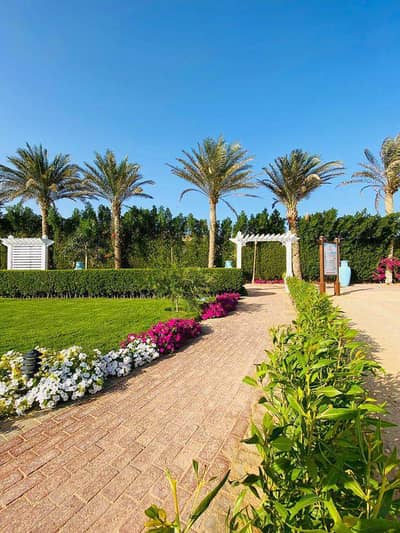 شاليه 3 غرف نوم للبيع في العين السخنة، السويس - IMG-20251119-WA0023. jpg