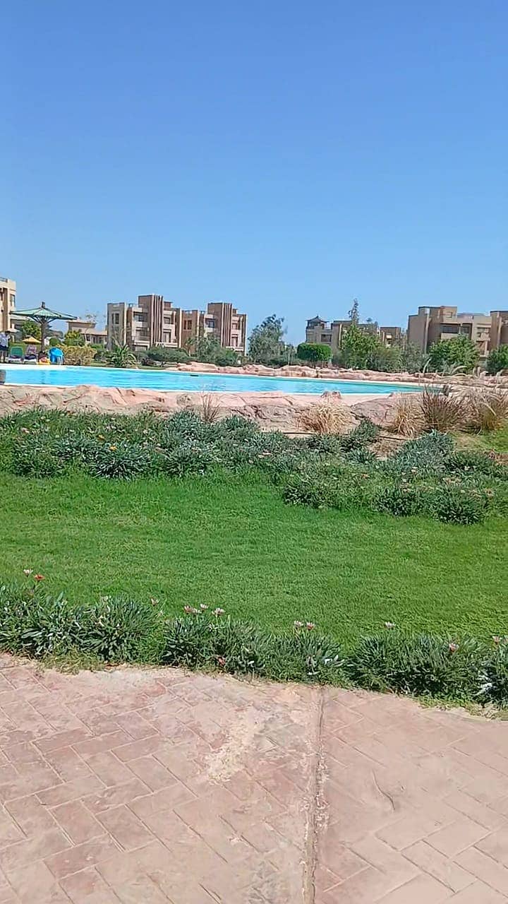 4 WhatsApp Image 2025-11-12 at 17.03. 49_479848b7. jpg