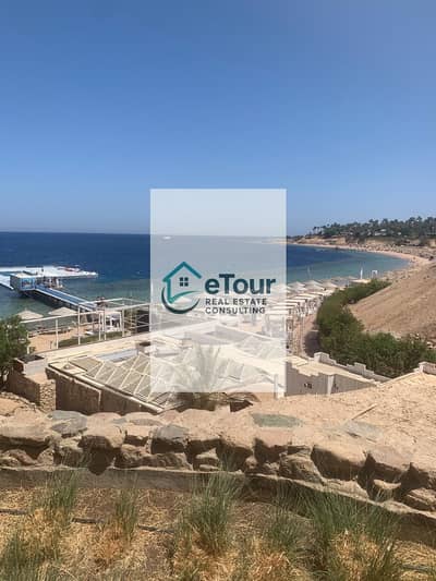 Room for Rent in Sharm al-Sheikh, Sinai - 88bdc579-cb02-4e9e-82e9-32ee3d6c95e9. jpg Room for Rent in Sharm al-Sheikh, Sinai - 88bdc579-cb02-4e9e-82e9-32ee3d6c95e9. jpg