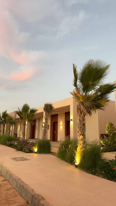 2 Bedroom Cabin for Sale in North Coast, Matruh - IMG-20260318-WA0186. jpg