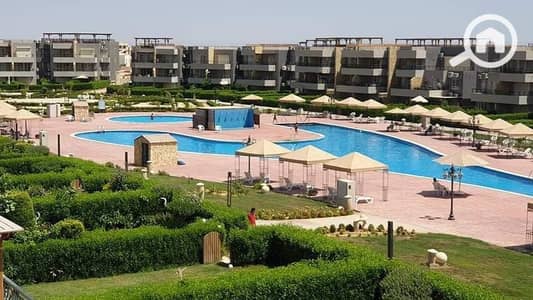 2 Bedroom Chalet for Sale in Ain Sukhna, Suez - WhatsApp Image 2026-03-11 at 3.52. 45 PM. jpeg 2 Bedroom Chalet for Sale in Ain Sukhna, Suez - WhatsApp Image 2026-03-11 at 3.52. 45 PM. jpeg