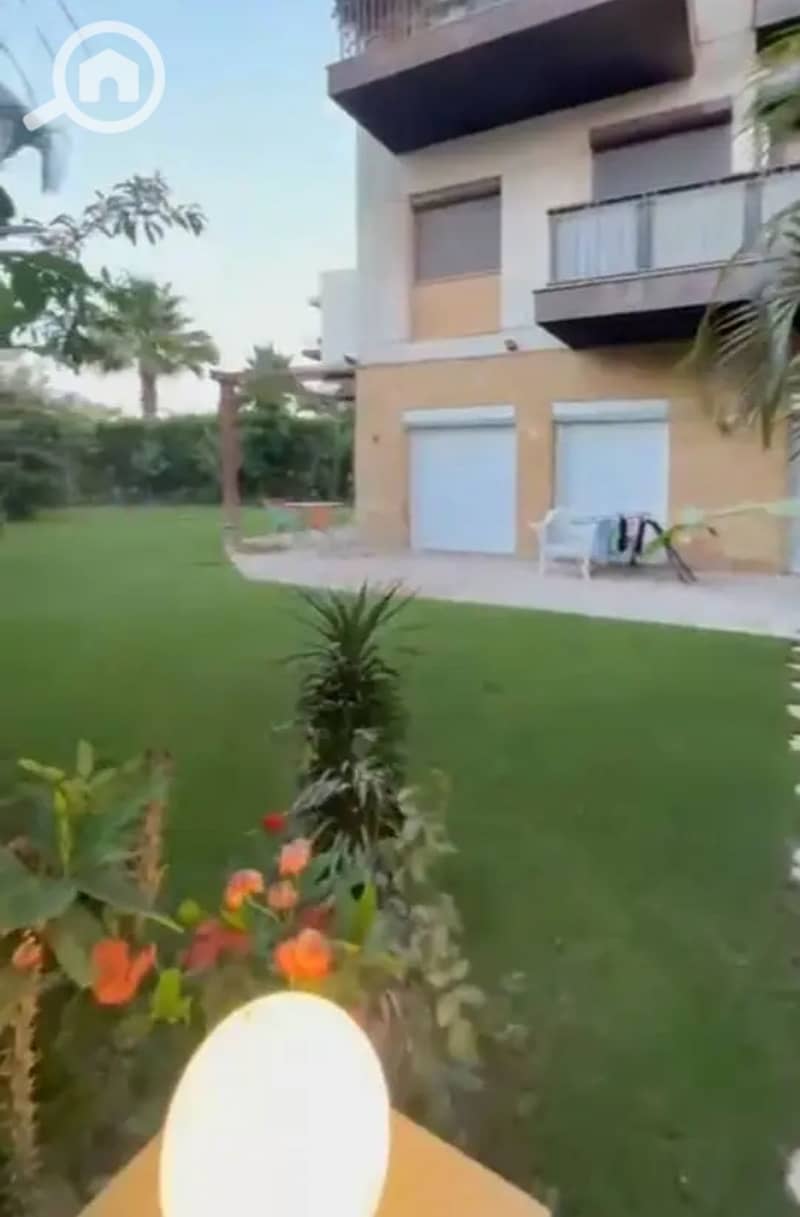 8 1000718237. jpg
