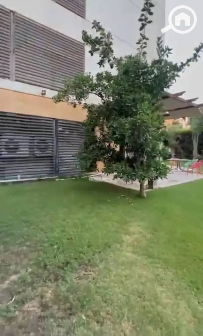 9 1000718239. jpg