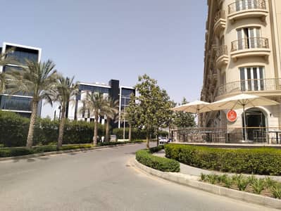 4 Bedroom Flat for Sale in New Cairo, Cairo - WhatsApp Image 2026-03-19 at 13.26. 25. jpeg 4 Bedroom Flat for Sale in New Cairo, Cairo - WhatsApp Image 2026-03-19 at 13.26. 25. jpeg
