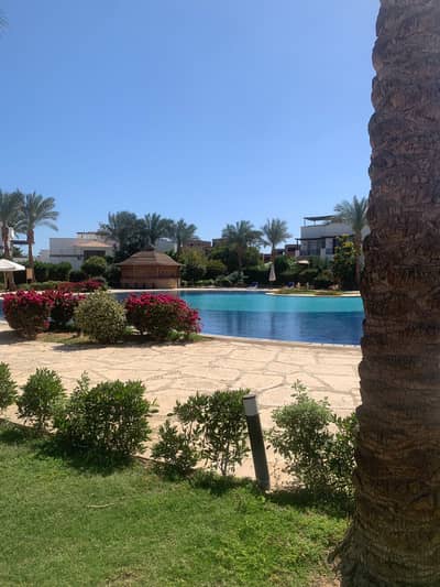 شاليه 2 غرفة نوم للبيع في شرم الشيخ، سيناء - 4b36be46-8118-45b0-a565-83022243bba1. jpg شاليه 2 غرفة نوم للبيع في شرم الشيخ، سيناء - 4b36be46-8118-45b0-a565-83022243bba1. jpg