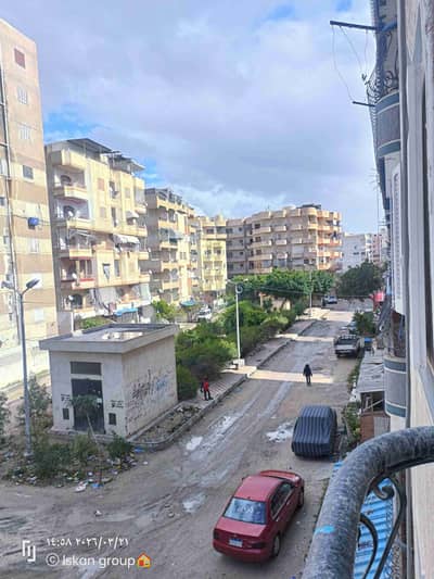 شقة 2 غرفة نوم للبيع في النخيل، الإسكندرية - 1000519466. jpg
