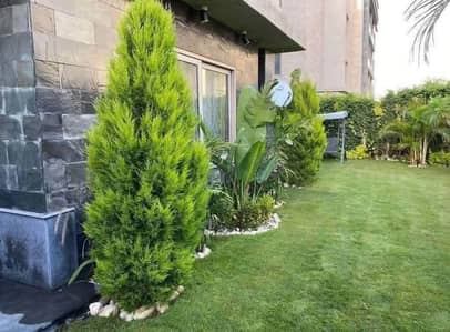 5 Bedroom iVilla for Sale in New Cairo, Cairo - 01970926-A83C-4C46-AAF2-36337F02169A. jpeg