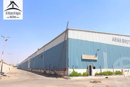 Warehouse for Rent in Obour City, Cairo - 69b9a9bd1e2ea706897503. jpg