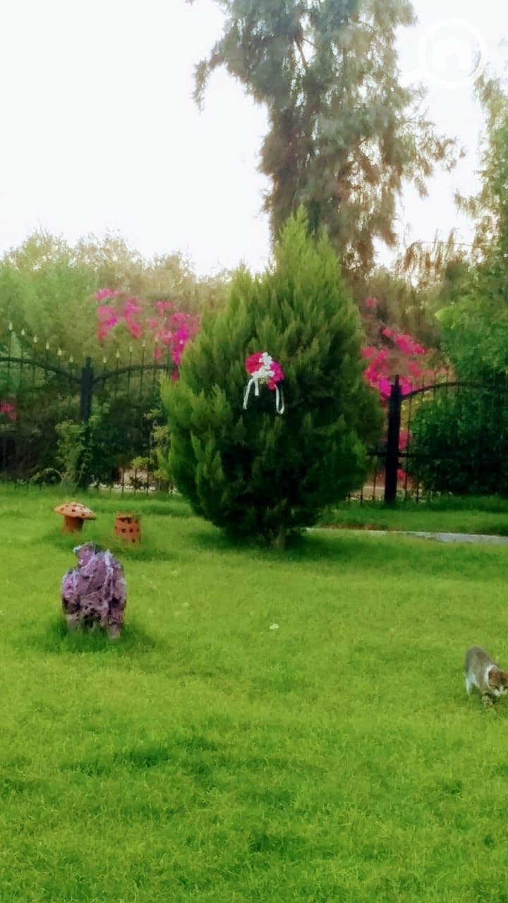 16 WhatsApp Image 2022-08-30 at 1.49. 36 PM (1). jpeg