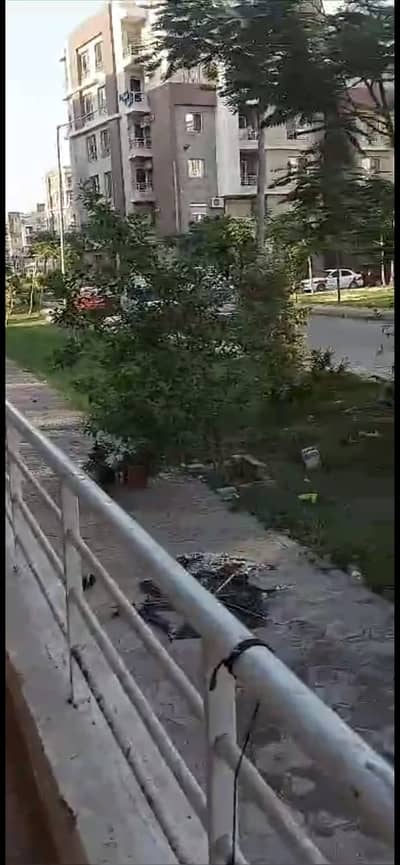 شقة 3 غرف نوم للايجار في العاشر من رمضان، الشرقية - WhatsApp Image 2026-03-25 at 2.28. 52 PM (4). jpeg