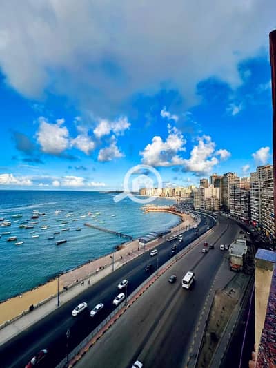 شقة 3 غرف نوم للايجار في ميامي، الإسكندرية - WhatsApp Image 2026-01-31 at 13.20. 40 (3). jpeg