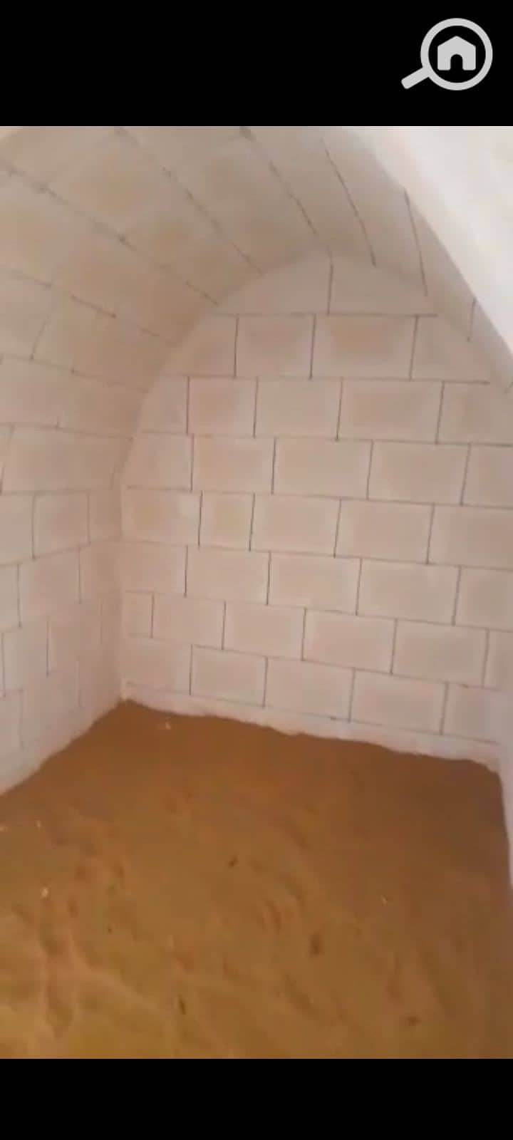 7 1000278349. png