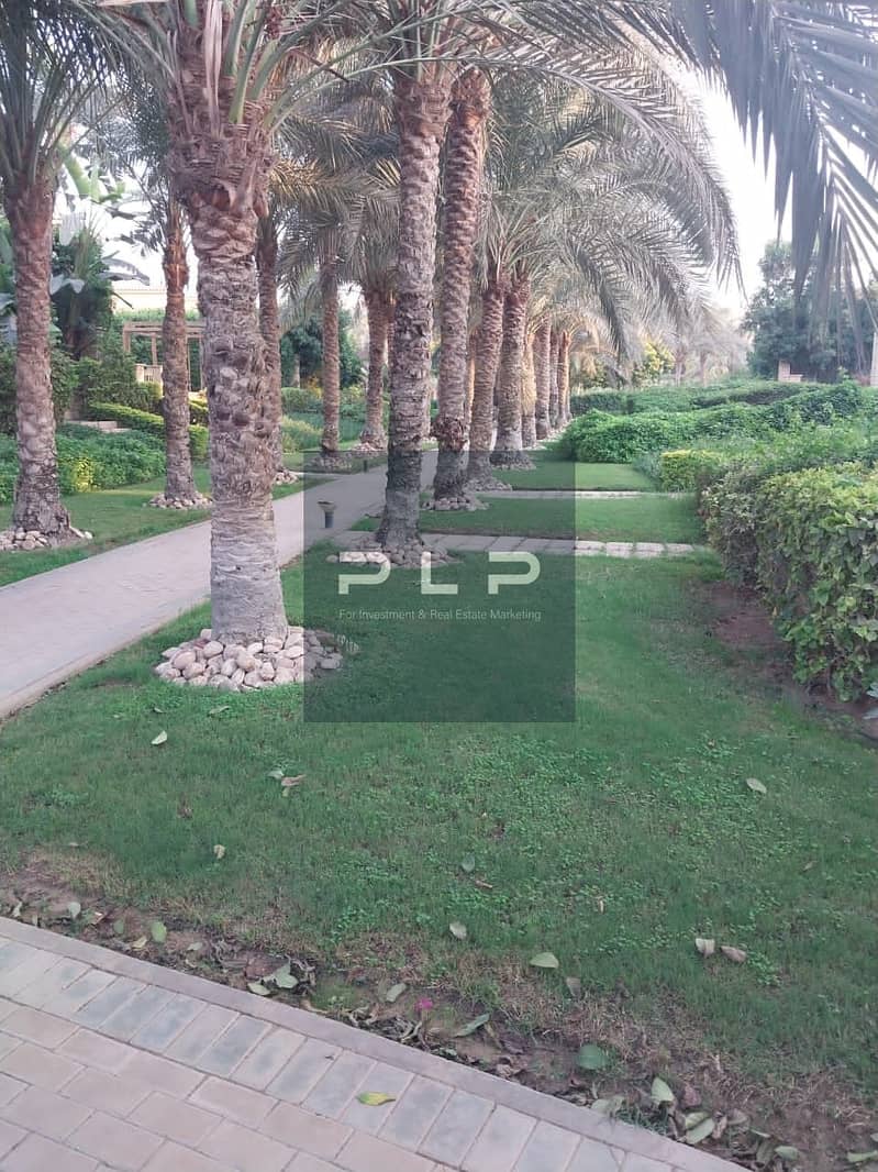 6 WhatsApp Image 2026-03-29 at 12.46. 44 PM (1). jpeg