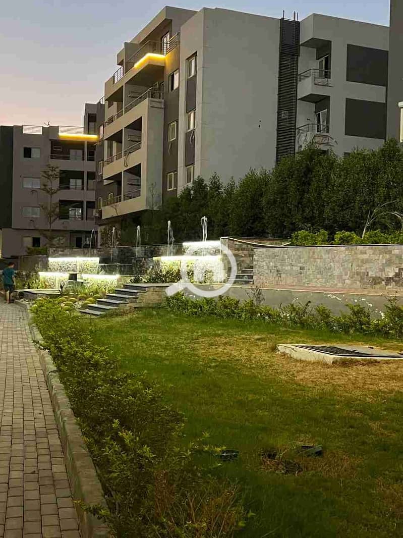 4 42759. jpg