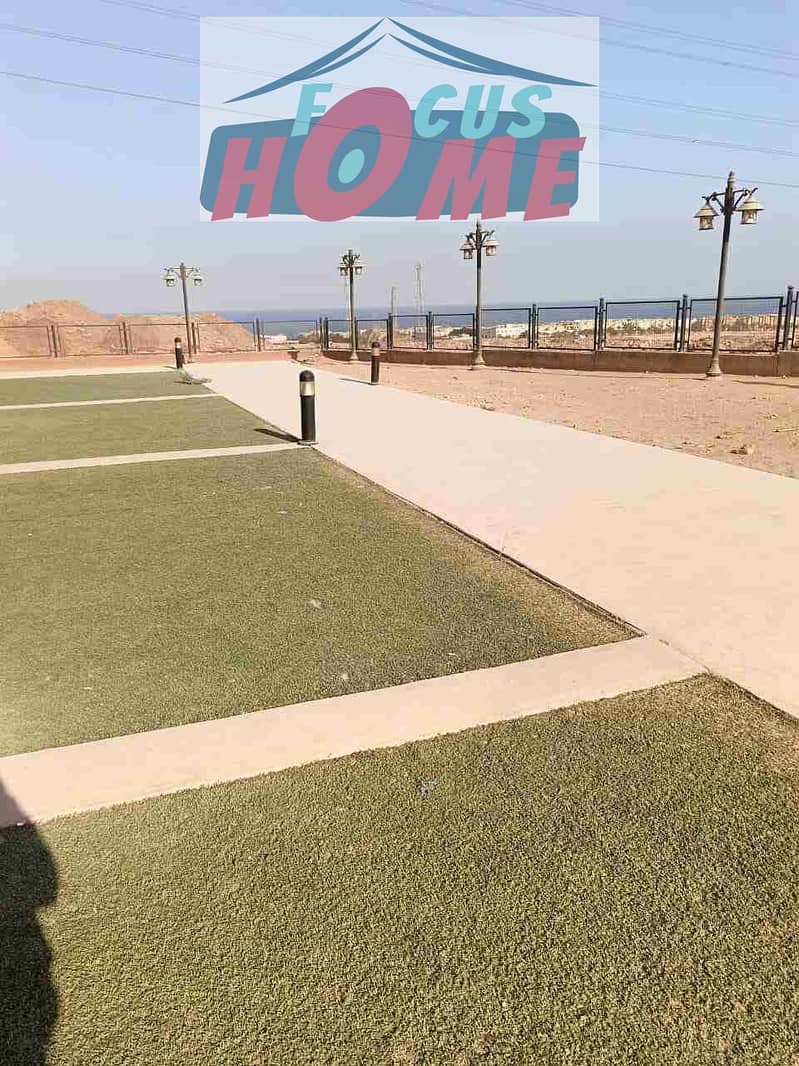 2 1000732307. jpg