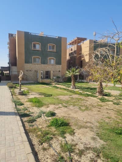 3 Bedroom Chalet for Sale in Ain Sukhna, Suez - WhatsApp Image 2026-01-12 at 4.13. 03 PM (4). jpeg 3 Bedroom Chalet for Sale in Ain Sukhna, Suez - WhatsApp Image 2026-01-12 at 4.13. 03 PM (4). jpeg