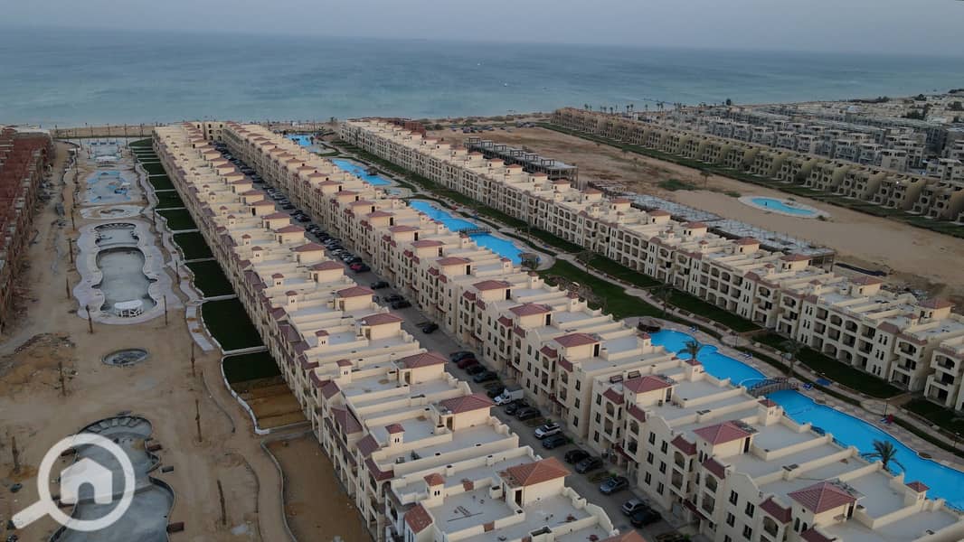 3 Palm 2022 (19). jpg