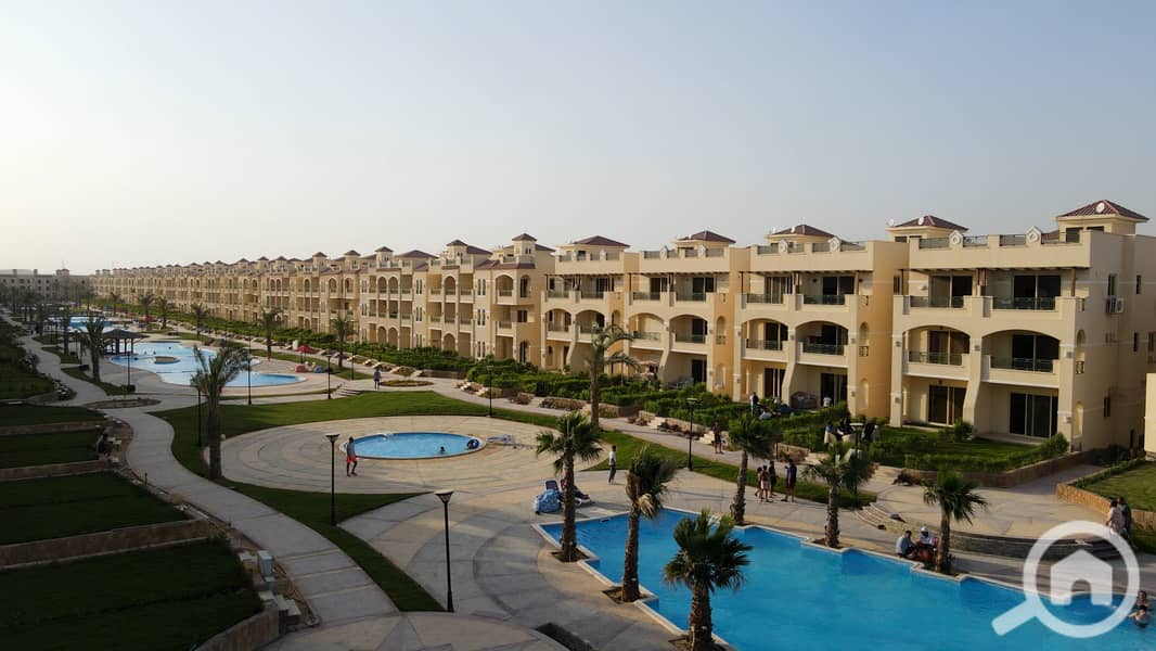 4 Palm 2022 (17). jpg