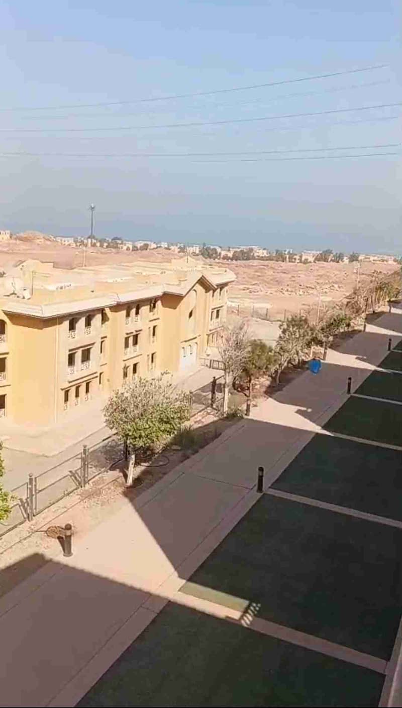 10 1000733123. jpg