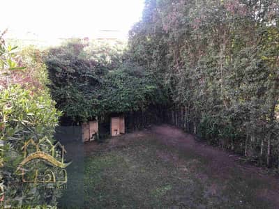توين هاوس 4 غرف نوم للايجار في مدينتي، القاهرة - 325535. jpg
