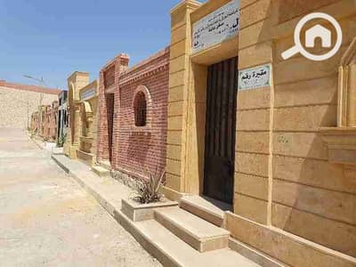 عقار سكني آخر 2 غرفة نوم للبيع في مدينة نصر، القاهرة - IMG_٢٠٢٦٠٣٣١_١١٤٦٣٤. jpg عقار سكني آخر 2 غرفة نوم للبيع في مدينة نصر، القاهرة - IMG_٢٠٢٦٠٣٣١_١١٤٦٣٤. jpg