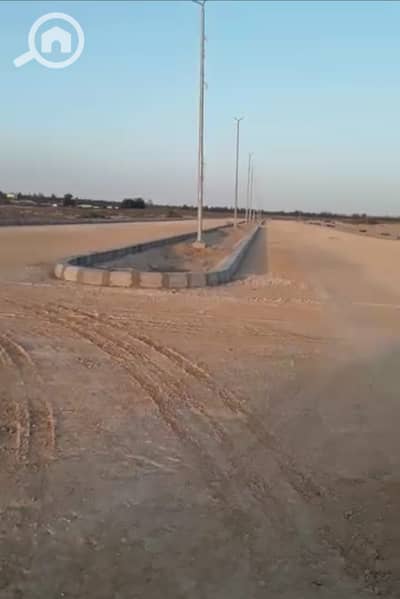 Land for Sale in Ismailia City, Ismailia - WhatsApp Image 2025-11-22 at 11.29. 55 AM (1). jpeg