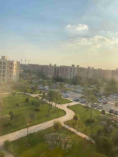 2 Bedroom Apartment for Sale in New Cairo, Cairo - 1001200819. jpg 2 Bedroom Apartment for Sale in New Cairo, Cairo - 1001200819. jpg