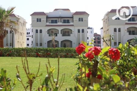 3 Bedroom Chalet for Sale in North Coast, Matruh - WhatsApp Image 2026-04-01 at 3.15. 18 PM (2). jpeg