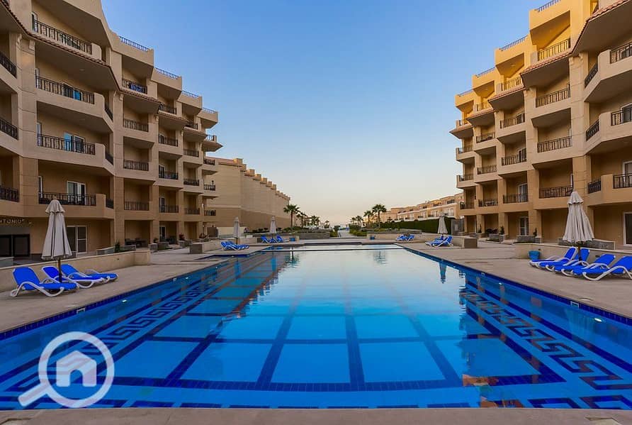 4 pool-4. jpg
