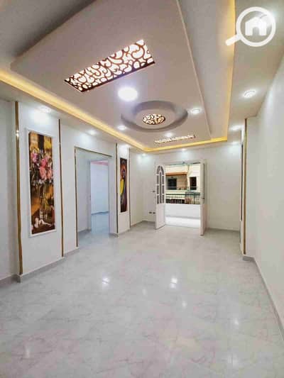 فلیٹ 2 غرفة نوم للبيع في النخيل، الإسكندرية - 1000527073. jpg