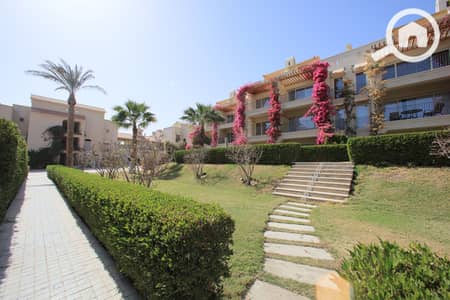 استوديو  للبيع في سهل حشيش، البحر الأحمر - 0s2a3496. jpg