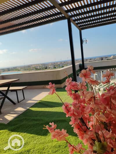 شاليه 4 غرف نوم للبيع في الساحل الشمالي، مطروح - WhatsApp Image 2026-04-04 at 2.30. 03 PM. jpeg