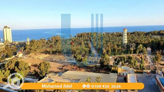 شقة 2 غرفة نوم للايجار في المنتزه، الإسكندرية - 4. png