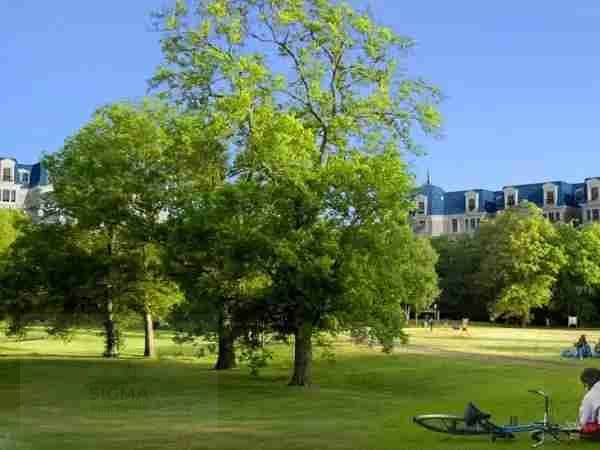 7 1000001364. webp