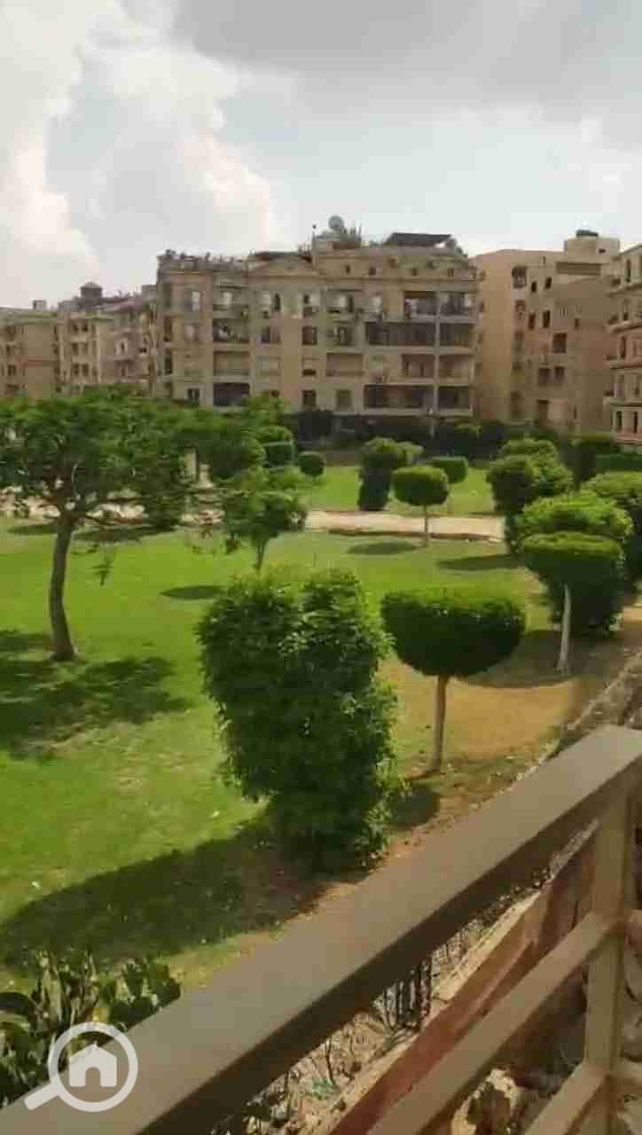 7 36346. jpg